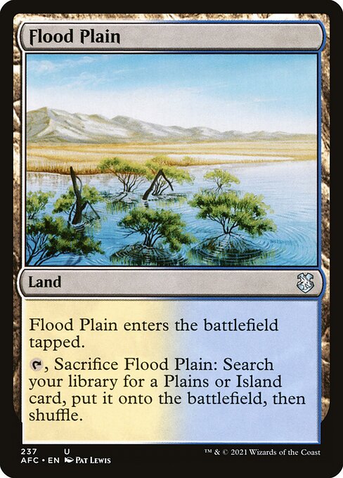 Flood Plain - AFC - 237