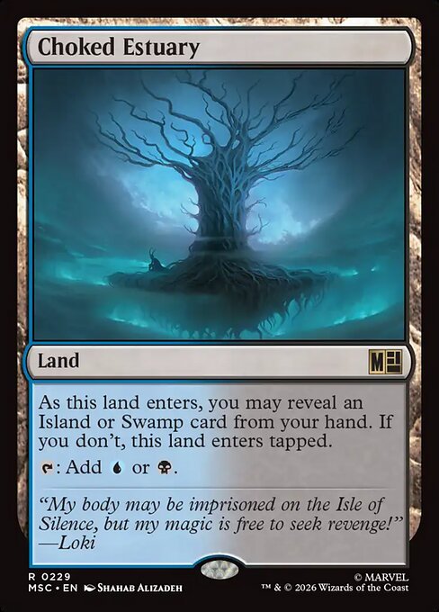 Choked Estuary - MSC - 229