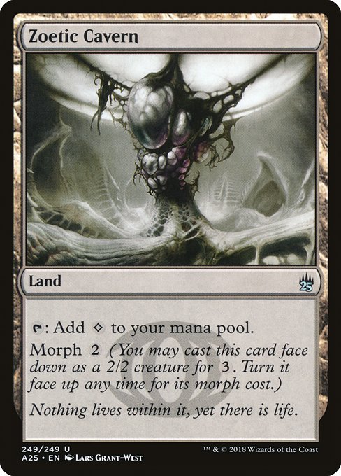 Zoetic Cavern - A25 - 249