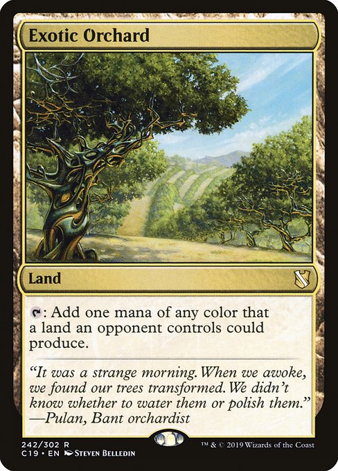 Exotic Orchard - C19 - 242