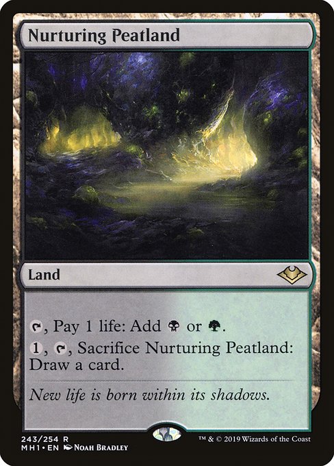 Nurturing Peatland - MH1 - 243