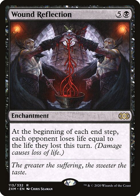 Wound Reflection - 2XM - 113