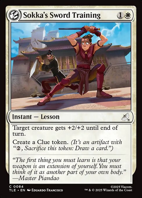 Sokka's Sword Training (Foil) - TLE - 84