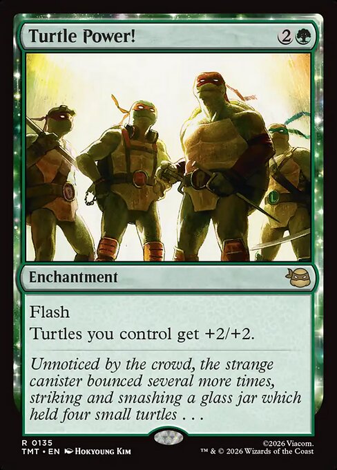 Turtle Power! - TMT - 135
