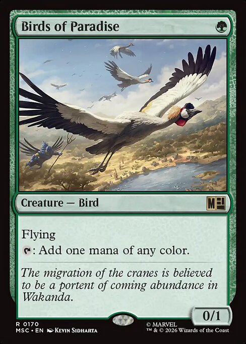 Birds of Paradise - MSC - 170
