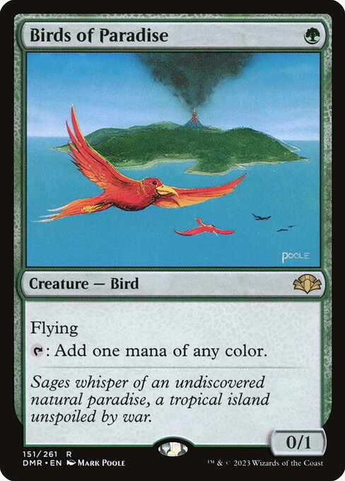 Birds of Paradise - DMR - 151