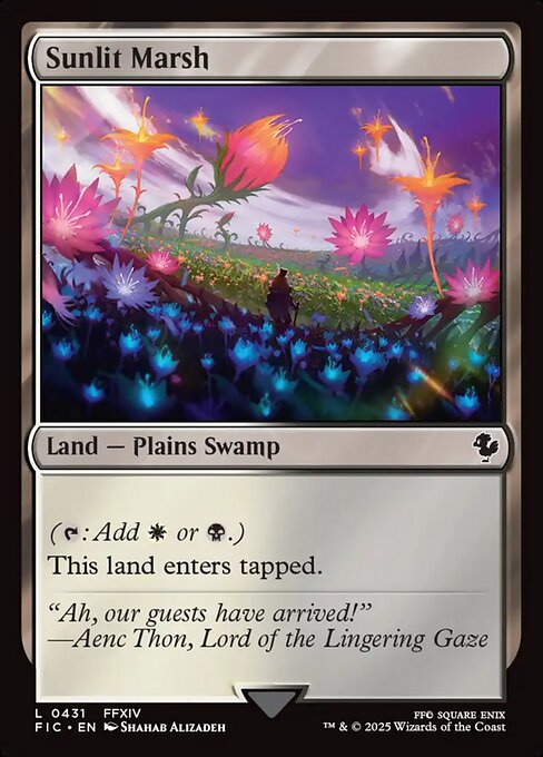Sunlit Marsh - FIC - 431