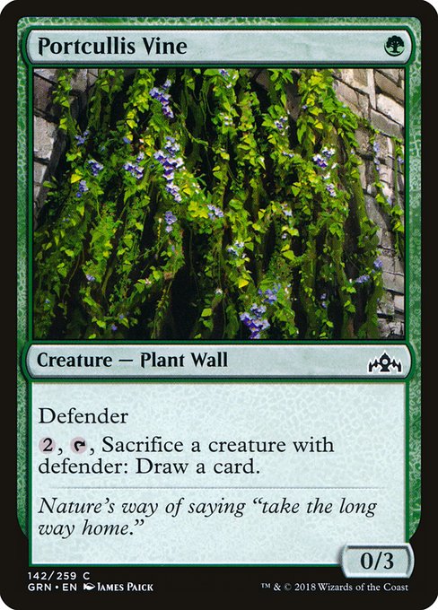 Portcullis Vine - GRN - 142