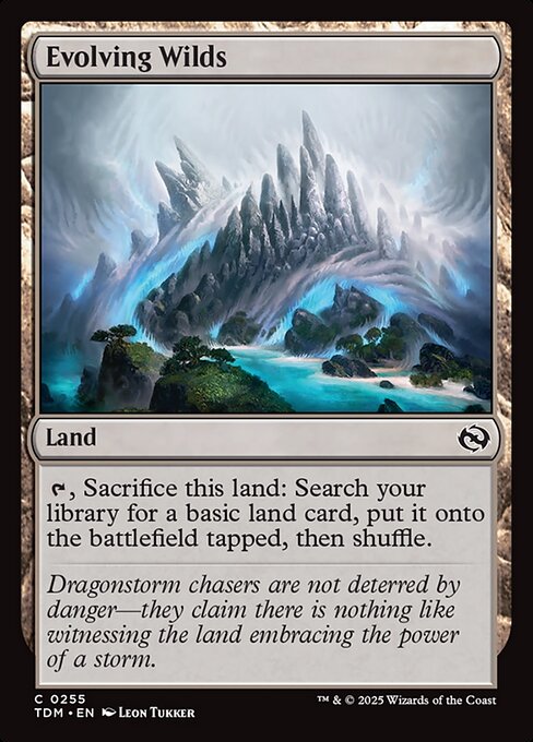 Evolving Wilds (Foil) - TDM - 255
