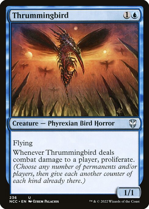 Thrummingbird - NCC - 236
