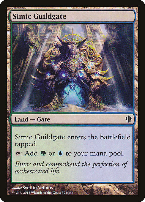 Simic Guildgate - C13 - 323