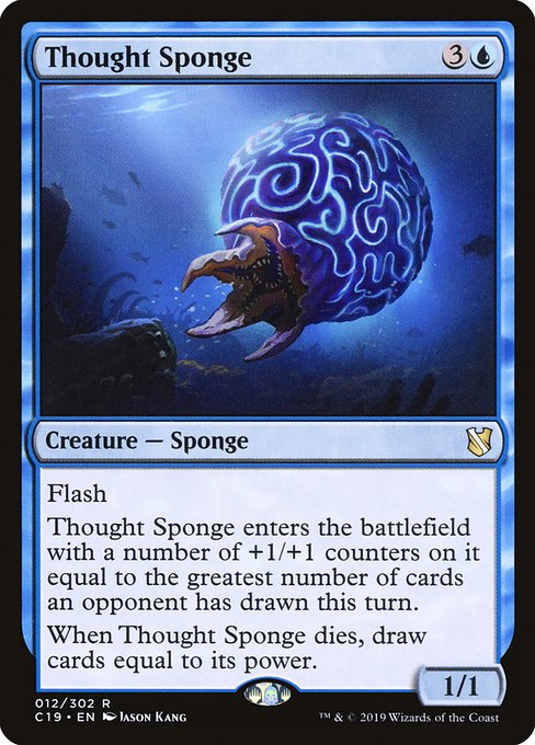 Thought Sponge - C19 - 12