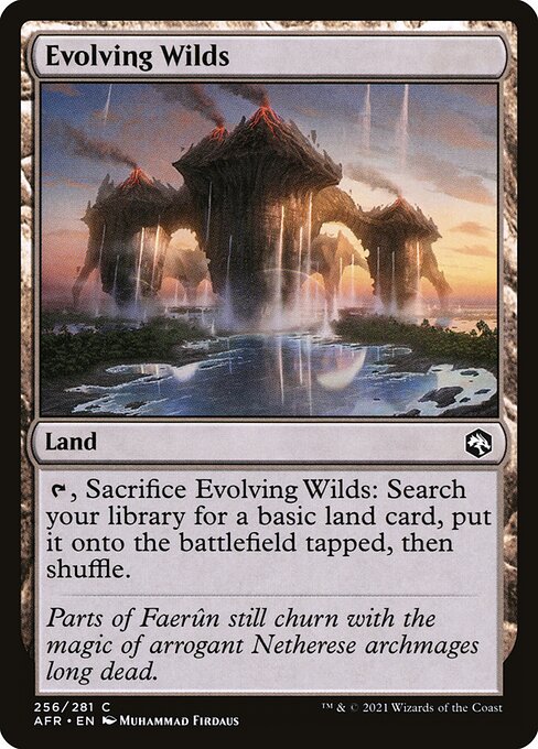 Evolving Wilds - AFR - 256