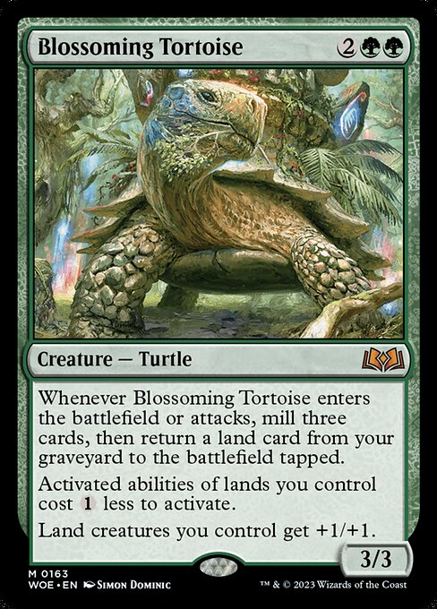 Blossoming Tortoise - WOE - 163