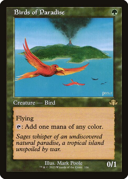 Birds of Paradise (Retro Frame) - DMR - 336