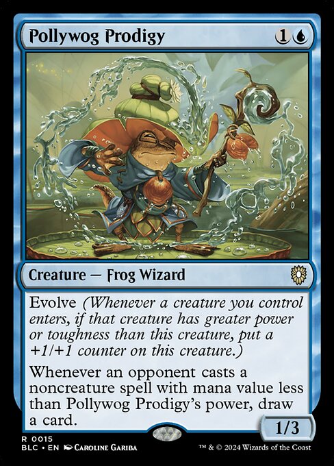 Pollywog Prodigy - BLC - 15