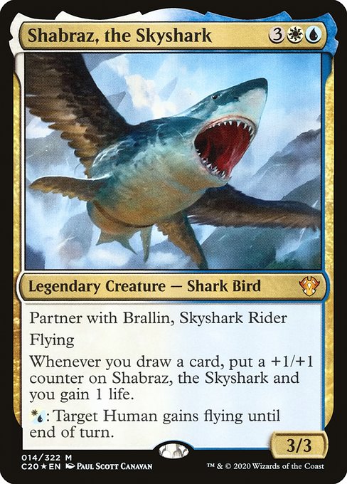 Shabraz, the Skyshark - C20 - 14