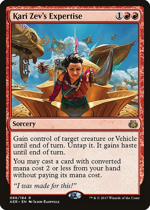 Kari Zev's Expertise - AER - 88