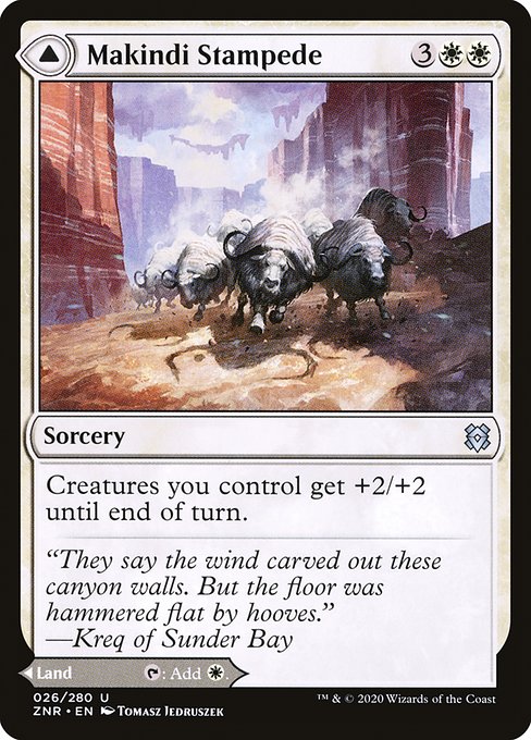 Makindi Stampede - ZNR - 26