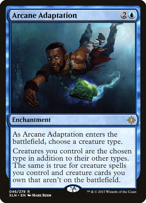 Arcane Adaptation - XLN - 46