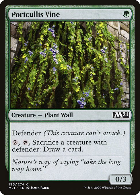 Portcullis Vine - M21 - 195