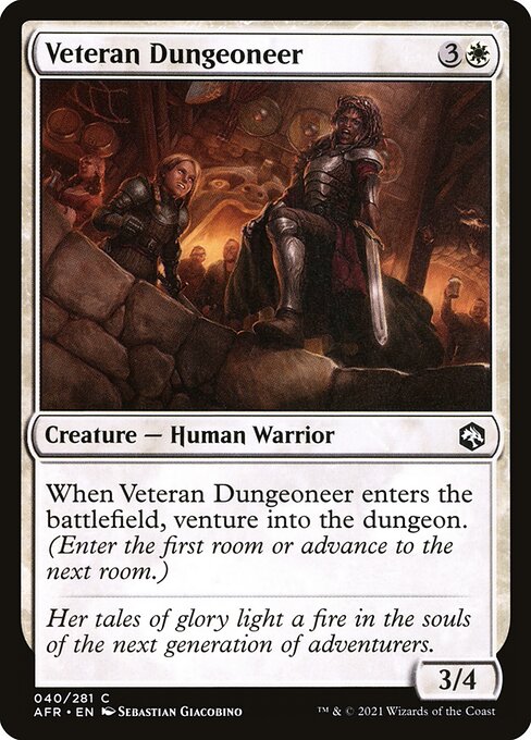 Veteran Dungeoneer (Foil) - AFR - 40