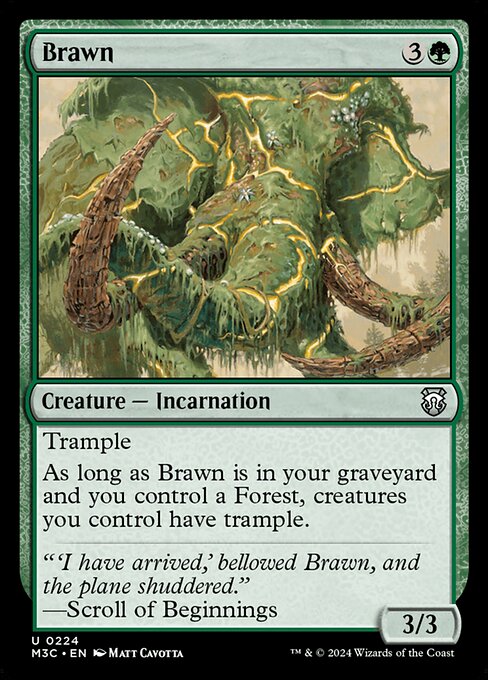 Brawn - M3C - 224