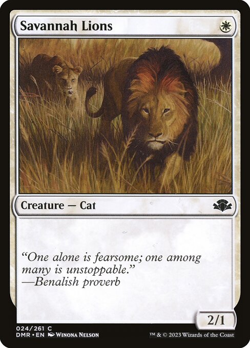 Savannah Lions - DMR - 24