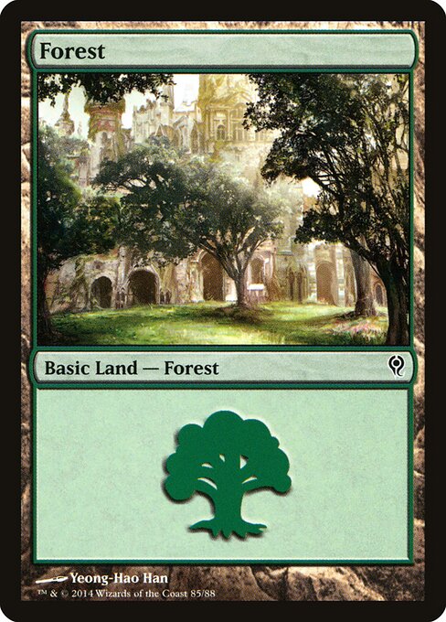 Forest (85) - DDM - 85