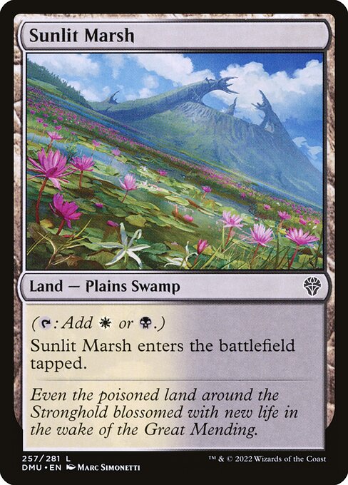 Sunlit Marsh - DMU - 257